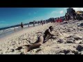 Cosmo Klein - Diggin for Gold (OFFICIAL VIDEO ...