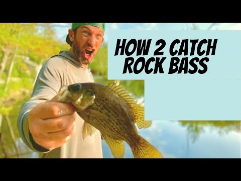 Three Lures That Catch Rock Bass, For Beginners