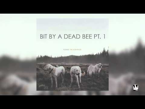 Video thumbnail for Bit by a Dead Bee Pt. I