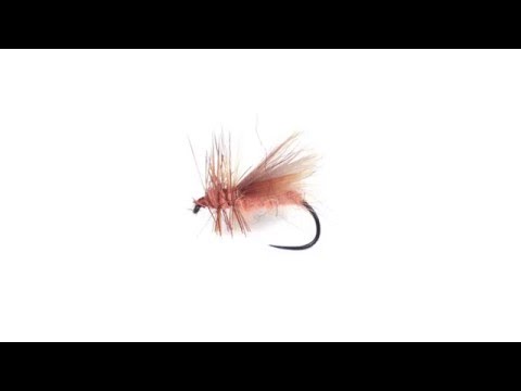 Cinnamon Caddis