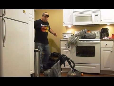 Funny Spider Scares 2015 - 2016 [NEW]