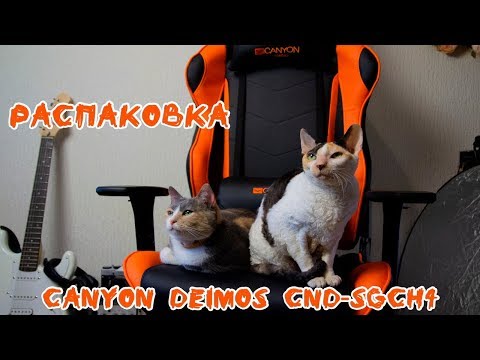 Žaidimų kėdė Canyon Deimos GC-4 Gaming Chair video