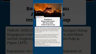 Singapura Batasi Sertifikat Hijau APP Sinar Mas! Imbas Karhutla di Indonesia