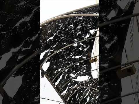 Palmeira d`Oeste #granizo #shorts