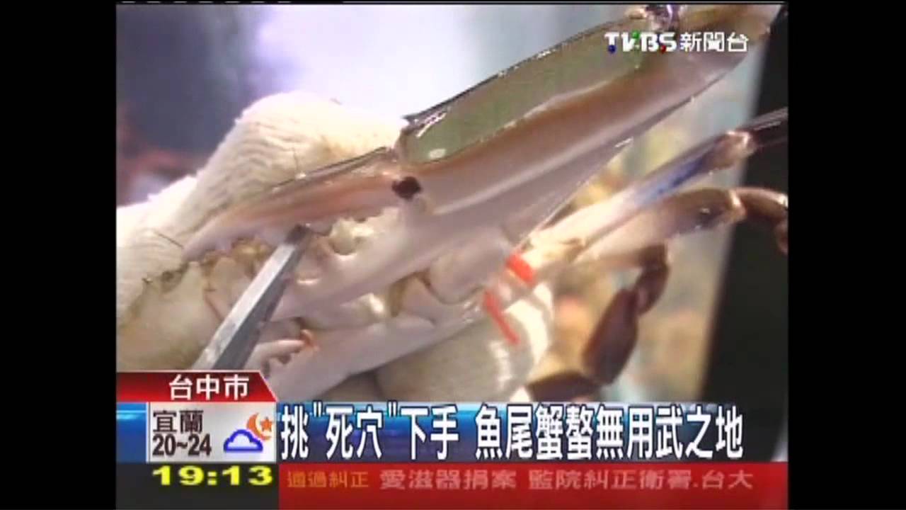 料理活海鮮 抓魚腮、戴手套、工具開殼