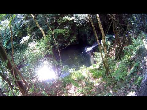 【檜原村】【夏】払沢の滝