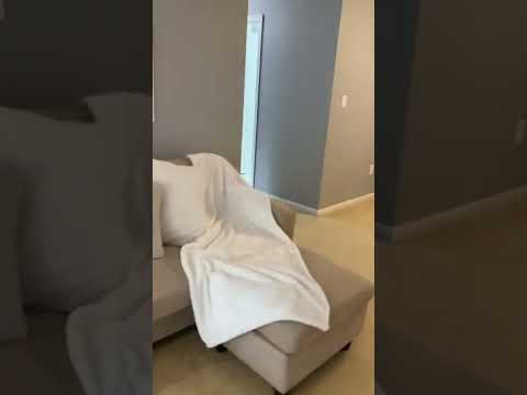 2239 HUNTERS RUN Drive property video
