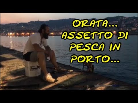 Scapola spalla formata Come trattare osteocondrosi toracica quello punge