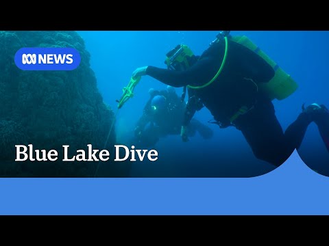 Rare dive into Mount Gambier’s Blue Lake in South Australia | ABC NEWS