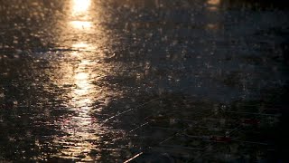THE SADDEST SONG I'VE EVER HEARD Disappear by Timothy Priest
