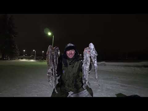 EGONITEKNIKA - REVONTULET / Ensimmäinen Studiossa nauhoitettu Live versio biisistä (4K video)