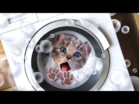 Little Kitten Preschool Adventure Educational Games Play Fun Cute Kitten Pet Care Learning Radugarog