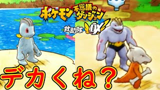 新生「だいていこく」前座【ポケモン不思議のダンジョン 救助隊DX】