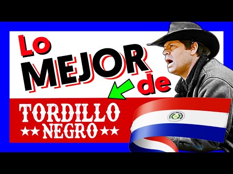 Lo MEJOR de TORDILLO NEGRO 🤠 (Enganchado Mix) 🇵🇾 MÚSICA PARAGUAYA