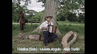 Fidelina (Solo) - Moisés Angulo - Alejo Durán