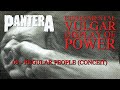 Pantera - 09 - Regular People (Conceit) (instrumental)