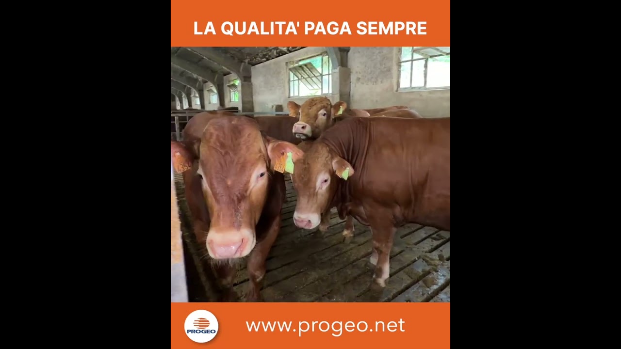 La qualit� paga sempre