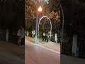Bear faces off with woman and dog before heading down stairwell in Gatlinburg, Tennessee