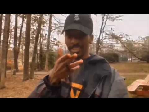 Shark Breach - Eviction