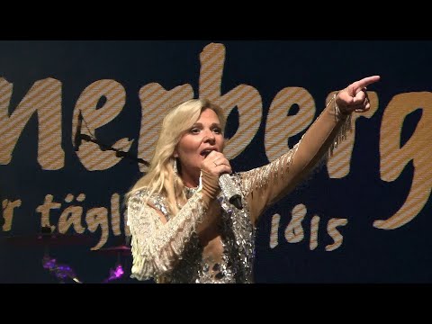 Helene Fischer Double / Barbara - Fehlerfrei ( LIVE ) Stadtfest Barsinghausen / 30.8.2025