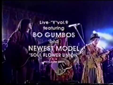 BO GUMBOS & SOUL FLOWER UNION -LIVE-　夢の中