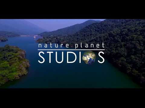 Kumar portfolio video1