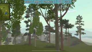 Disc Golf Valley Kaho Park Hole 2 Ace