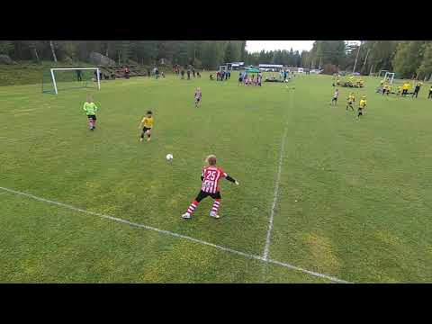 STPS10/Keltainen-PaU