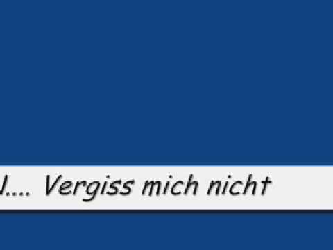 PinZ feat D-VicE    Vergiss mich nicht