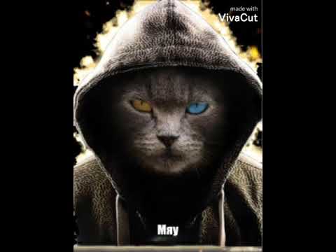 Bring Me To LifeBruno Martini feat. David Hodges