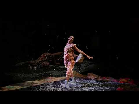 Voir la bande-annonce