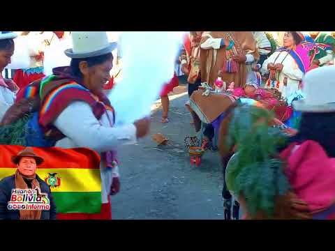 🎥 Potosí Colcha “K” brilló su danza autóctona en la XV Expoferia Nacional de Camélidos La Paz 2025