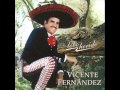 YO NO ME ARREPIENTO-VICENTE FERNANDEZ
