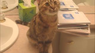 Singing Practice 04: &quot;My Shadow Tags On Behind&quot; by Adam Green