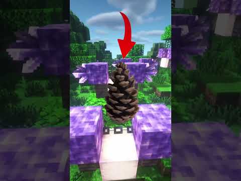 Du wirst die Bilder nach dem Video nie mehr normal sehen können!😭Minecraft Tordi #minecraft #sabos