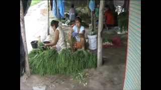 preview picture of video 'Rayong, Thailand, life at the farm.'