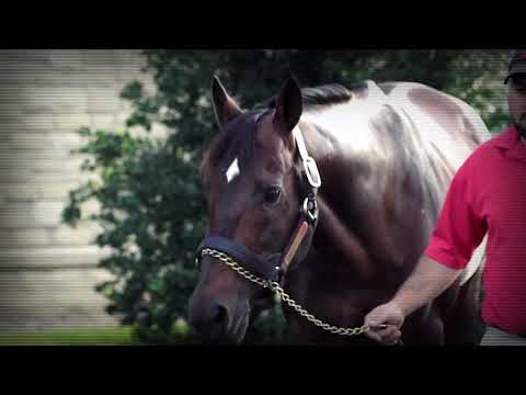 Gulfstream Park Replay show | April 4, 2019