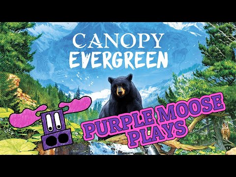 Purple Moose Plays...Canopy: Evergreen (solo) - review copy