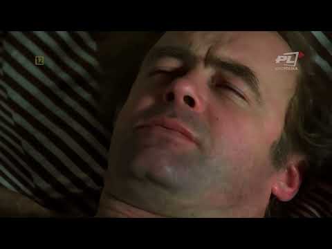 Miś (1980) – Arcydzieło Stanisława Barei i symbol polskiej komedii