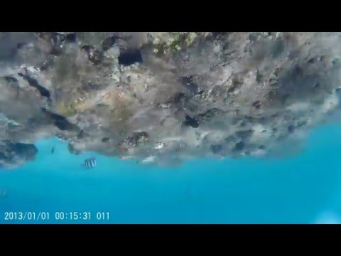 маааленький кусочек рифа у  пляжа