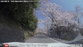 preview picture of video '広島の風景2015春 花見「黄金山の桜5/5車載カメラ下り」03.30 Scenery of Hiroshima,Mt-Ougon Cherry blossom,On board camera'