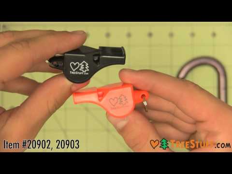 YouTube Thumbnail caN54HBjBe8