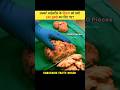 Albert Einstein S Brain The Controversial Research After His Death Alberteinstein Einsteinbrain