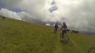 preview picture of video '2013 Downhill in Auvergne'