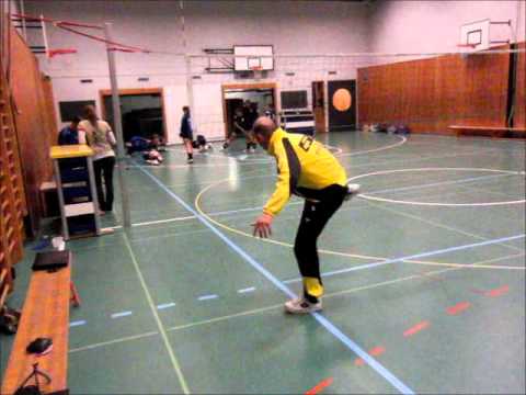 SV Volley Wyna the First Movie :-D