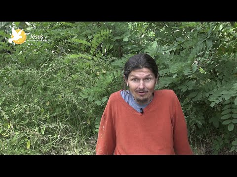 comment guerir d'une pancreatite