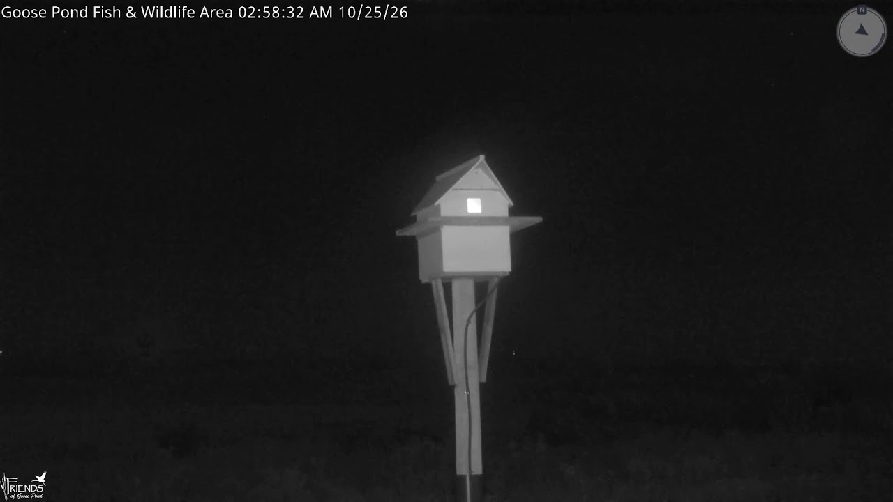 Live webcam view of Goose Pond Wildlife Area