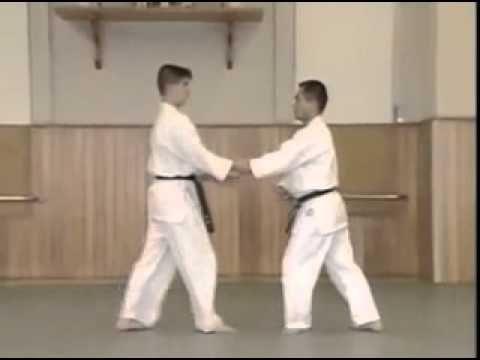 Katate Mochi Nikajo Osae 2