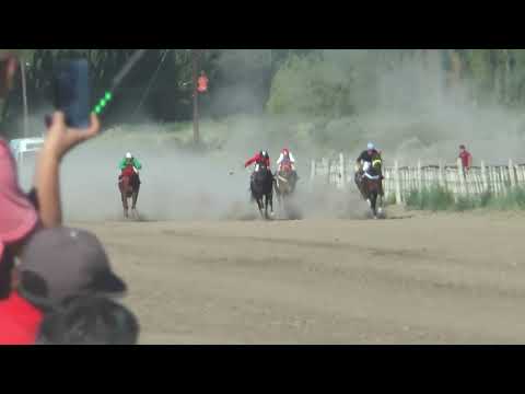 JOSECITO  Club Hipico "Cabo Alarcon" - Picun Leufu  -  15-01-2023