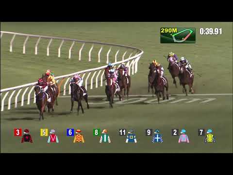 26/5/2021 (706) Dancing Fighter - J Moreira